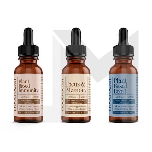 Nootrocan 3000mg 10% Full-Spectrum CBD Nootropic Tincture - 30ml