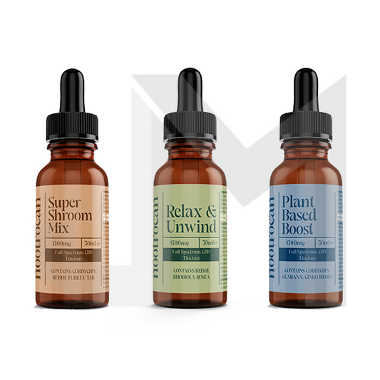 Nootrocan 1500mg 5% Full-Spectrum CBD Nootropic Tincture - 30ml