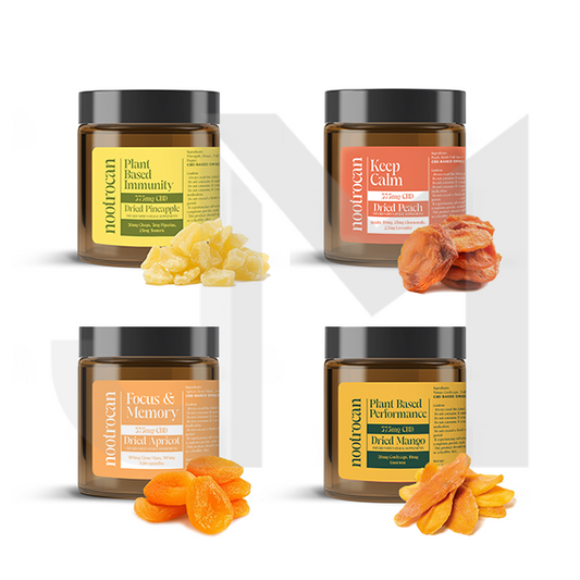 Nootrocan 375mg Full Spectrum CBD Nootropic Dried Fruits - 150g