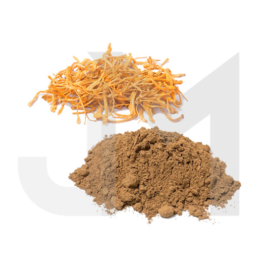 Bulk Cordyceps Mushroom Powder Wholesale UK