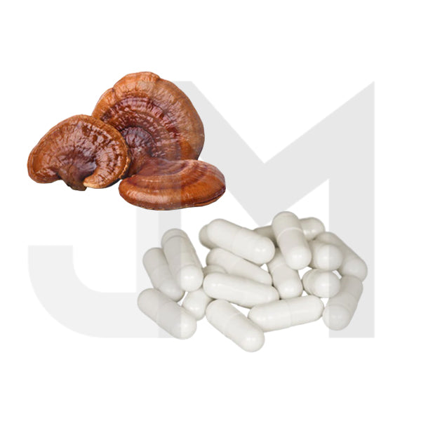 Bulk Pure 500mg Reishi Mushroom Capsules Wholesale UK