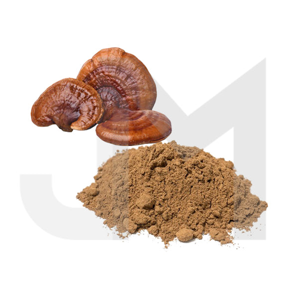 Bulk Reishi Mushroom Powder Wholesale UK