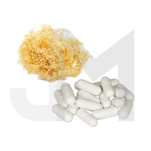 Bulk 500mg Pure Seamoss Capsules Wholesale UK