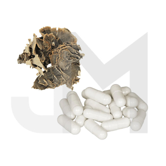Bulk Pure 500mg Turkey Tail Mushroom Capsules Wholesale UK