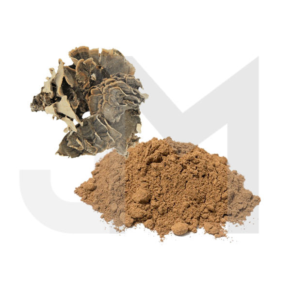 Bulk Turkey Tail Mushroom Powder Wholesale UK