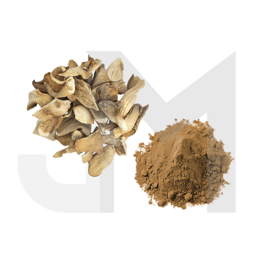 Bulk Oyster Mushroom Powder Wholesale UK