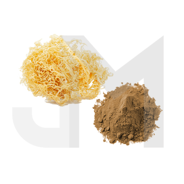 Bulk Sea Moss Powder Wholesale UK