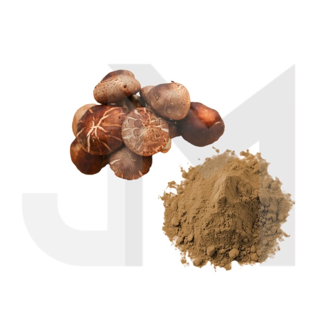 Bulk Shiitake Mushroom Powder Wholesale UK