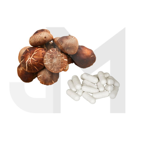 Bulk Pure 500mg Shiitake Mushroom Capsules Wholesale UK