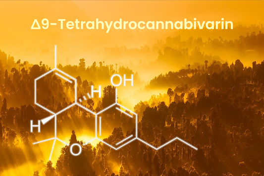 What is THCV?