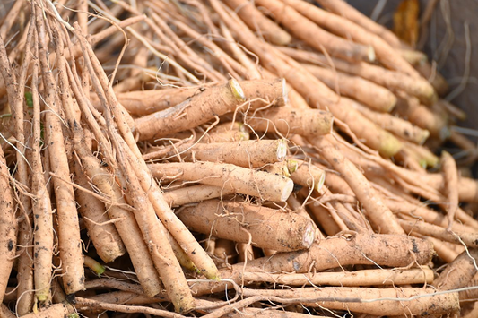 Bulk Ashwagandha Extracts: Ideal for Your Business Needs