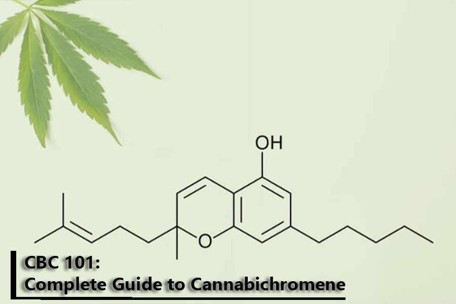 CBC 101: Your Complete Guide to Cannabichromene