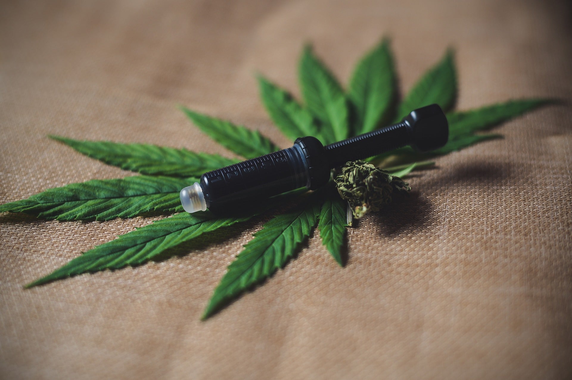 CBD Cartridges Wholesale & Retail: Quality Options for Everyone