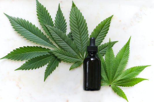CBG vs CBD: How are they Different?