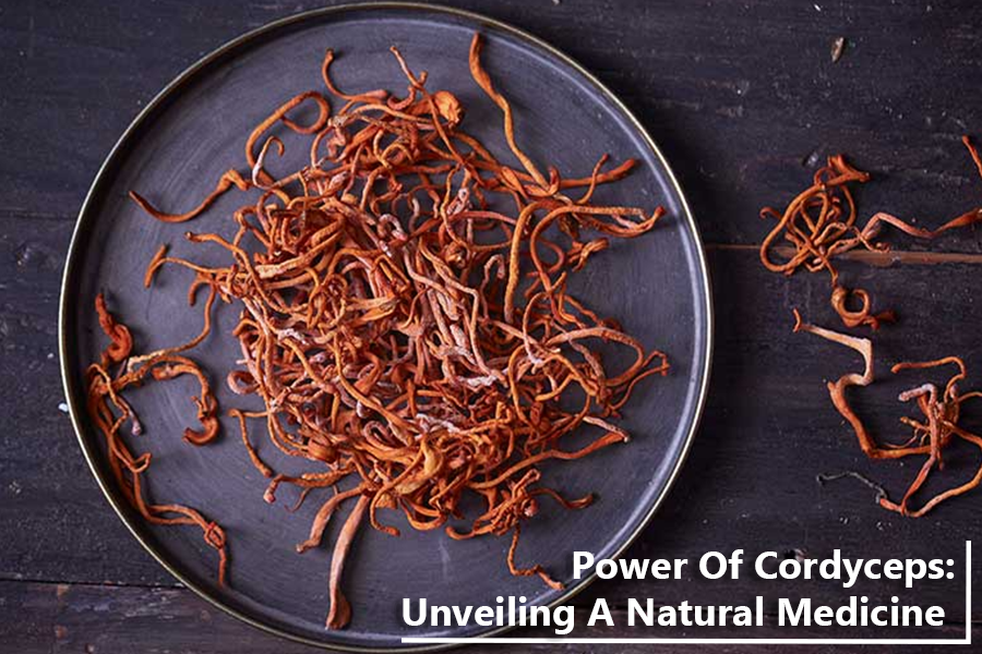 Unveiling The Power Of Cordyceps: A Natural Medicine for Health and Wellbeing
