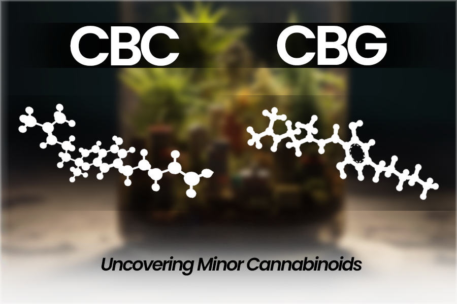 Uncovering the Potential of Minor Cannabinoids