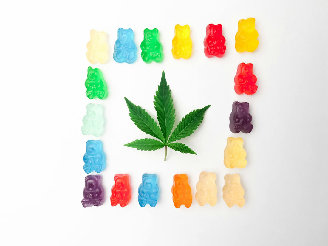 Indulge in Flavour: Explore the Best CBD Edibles Today