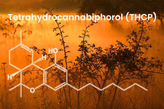 What is THCP?