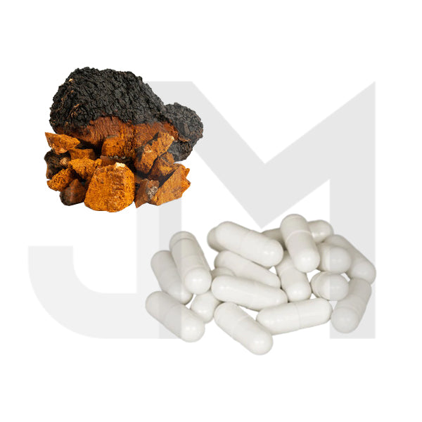 Bulk  Pure 500mg Chaga Mushroom Capsules Wholesale UK